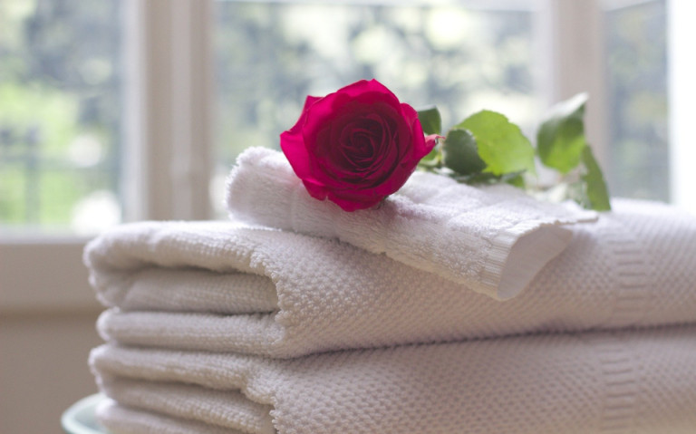 Rote Rose auf Handtuch