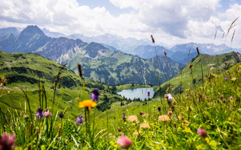 Der Seealpsee im Naturparadies Allgäu, umgeben von grünen Wiesen und den majestätischen Alpen im Hintergrund.