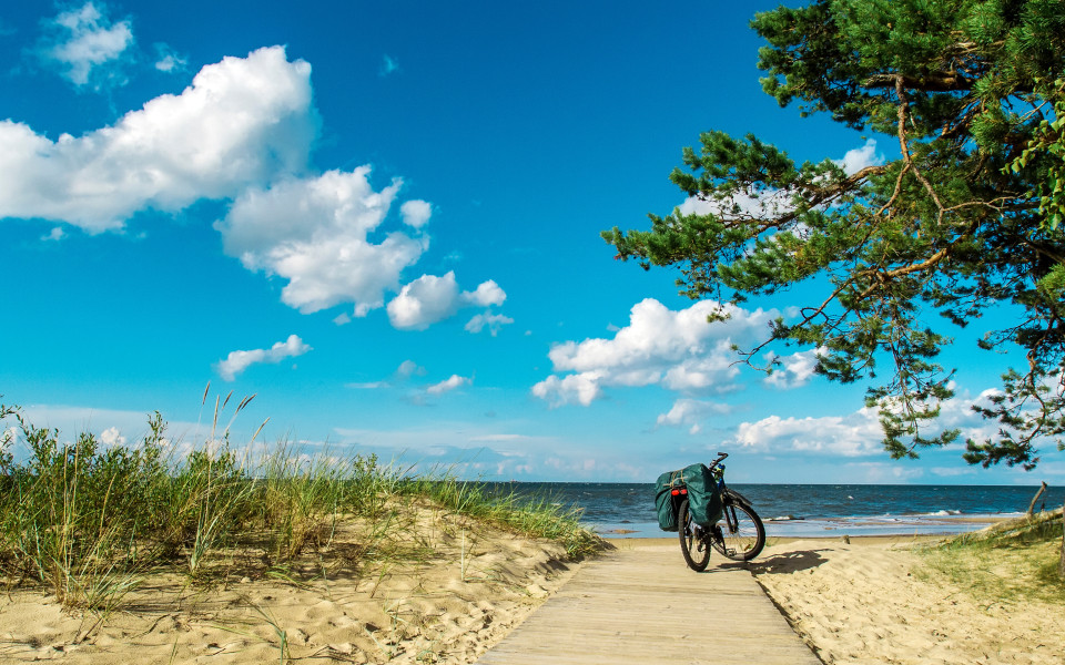 Ein Tourenrad steht auf einem Holzweg entlang der Ostseek&uuml;ste.